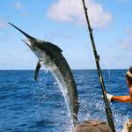 all year round fishing in Cuba