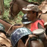 Cuba on Horseback