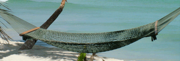 beach hammock in the carribbean