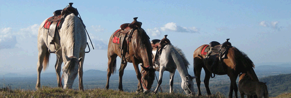 horseback riding in Cuba
